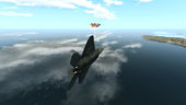 Air Combat IV