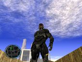 Crysis Skin Pack