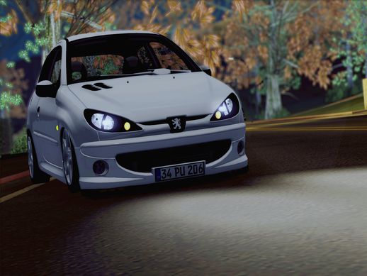 Peugeot 206 GTI TMC