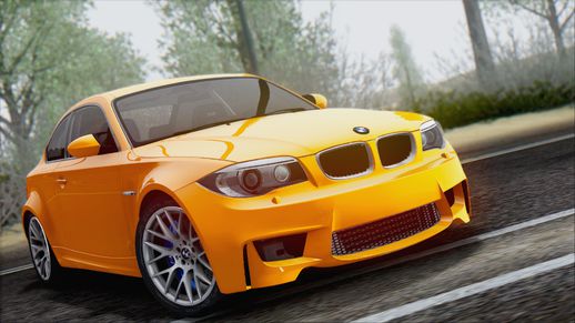 2011 BMW 1M