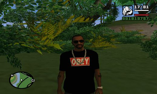 Camiseta Obey Swag