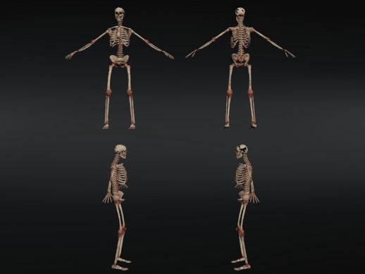 Skeleton from Sniper Elite v2