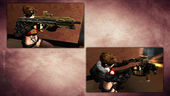 PointBlank Weapons PBIC2013