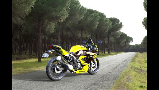 Kawasaki Ninja 250RR Mono