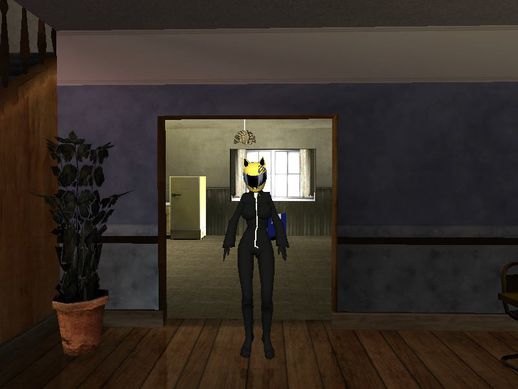 Celty Skin