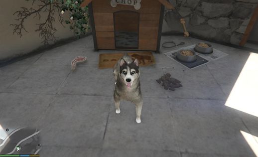 Husky Mod 1.0