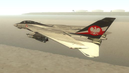 F-14D Super Tomcat Polish Navy