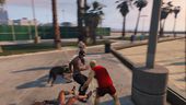 GTA V Realistic Brawling v1.6+