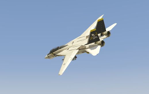 Grumman F-14D Super Tomcat