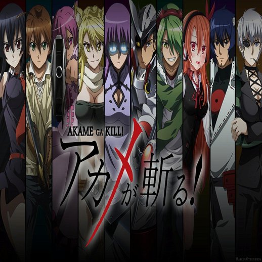 Akame Ga Kill Loadscreen