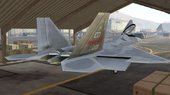 F-22 Raptor