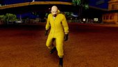 Skin Walter White Breaking Bad Chemsuit