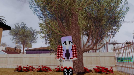 Minecraft Female Skin Edited