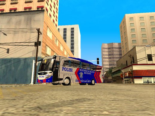 Police Bus