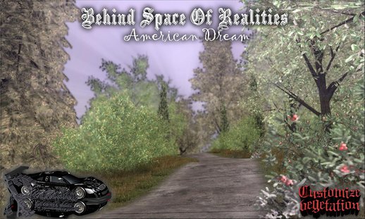 Behind Space Of Realities: American Dream (C-AD-5)