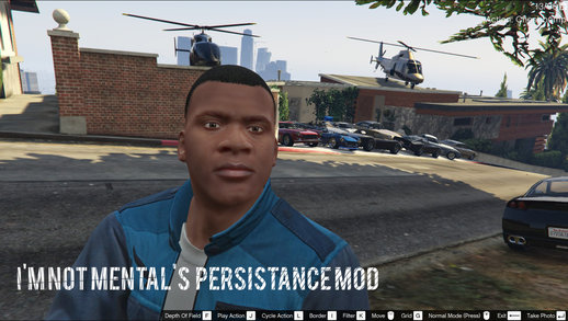 I'm Not MentaL's Persistence Mod v1.7.3