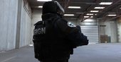 GIGN From Rainbow Six Siege and SCP MTF