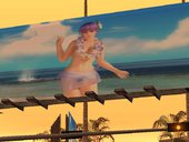 DOA 5 Sexy Billboards