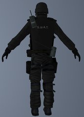 SWAT Skins