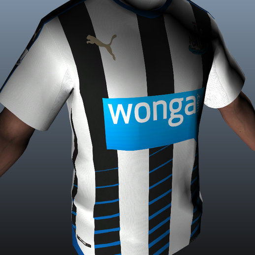 Newcastle United 15-16 (Franklin)