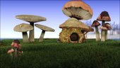 Skyrim Mushroom Land