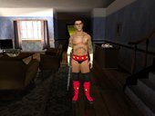 Cm Punk Bodyguard Mod