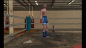 Boxing Savegame 