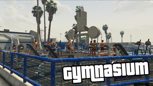 Gymnasium [.NET] v1.1