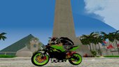 Kawasaki Ninja Zx 9R Stunter