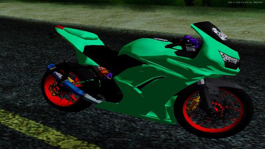 Kawasaki Ninja 250 R Race