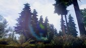 Cry ENB V4.0