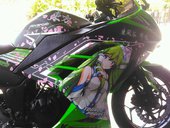 Ninja 250FI w/ Kochiya Sanae Itansha