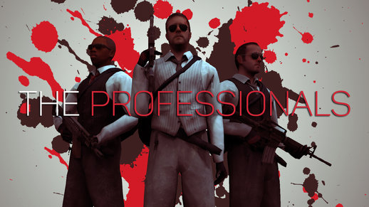 CSGO The Professionals