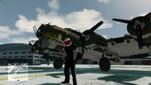 WW2 Plane Pack 4