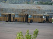 Ikarus 293 BKV