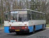 Ikarus 255