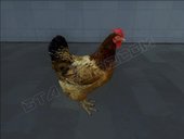 Chicken From Grand Theft Auto V