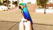 Pet Parrot