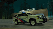 Toronto Police Service Pack