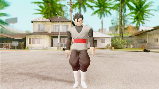 DBXV2 Adult Gohan Black Pack