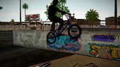 Skate Park Remastered (Iron Version)