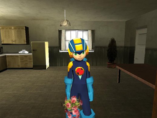 Megaman E.X.E