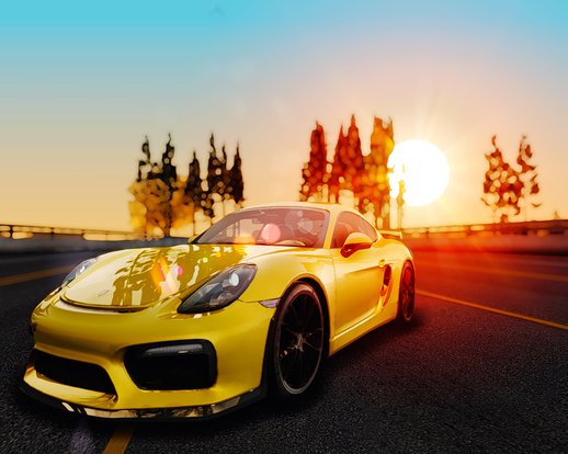 2016 Porsche Cayman GT4 981c