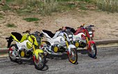 Honda Msx 125SF/Grom 125SF