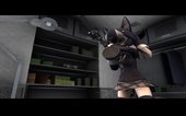 Kemono Friends Gray Wolf [01]