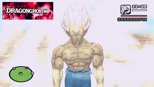 Vegeta Mastered Ultra Instinct