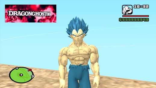 Vegeta Super Sayayin Blue Damaged