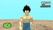 Vegeta Base Damaged