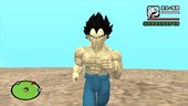 Vegeta Base Damaged