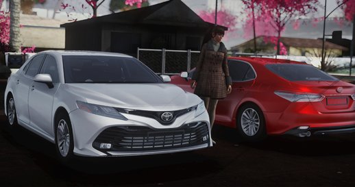 Toyota Camry 2019